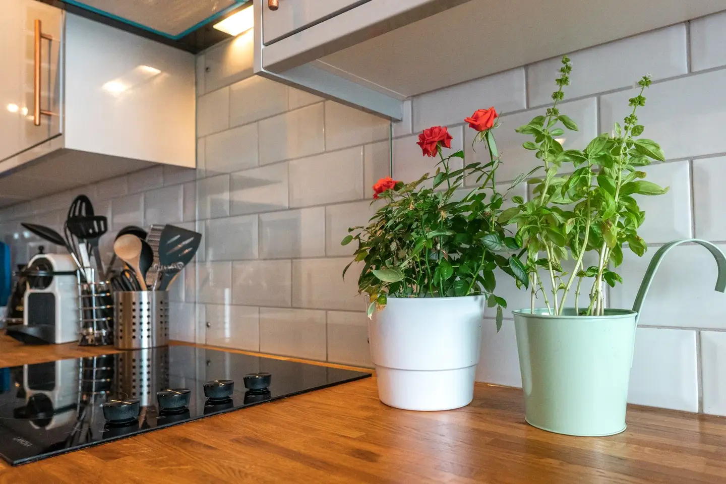 Kitchen fitting